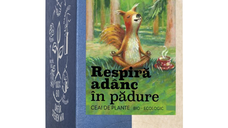 Ceai Bio Respira Adanc in Padure, 18 plicuri, Sonnentor