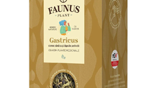 Ceai Gastricus, 90 g, Faunus Plant