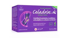 Celadrin Extract Forte, 500 mg, 60 capsule, Good Days Therapy