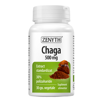 Chaga, 500 mg, 30 capsule, Zenyth - 1