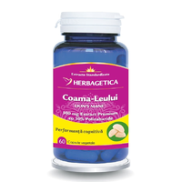 Coama Leului, 60 capsule vegetale, Herbagetica - 1