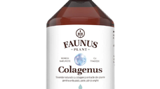 Colagenus, colagen lichid hidrolizat cu extracte din plante, 500ml, Faunus Plant