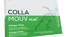 Collamouv Plus, 14 fiole*25 ml, Deutsche Heilmittel GmbH