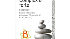 Complex B Forte, 100 comprimate, Alevia