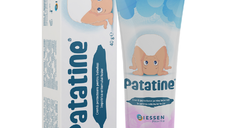 Crema Patatine, 40 g, Biessen