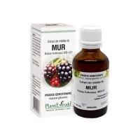 Extract din mladite de Mur, 50 ml, Plant Extrakt - 1
