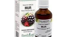 Extract din mladite de Mur, 50 ml, Plant Extrakt