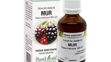 Extract din mladite de Mur, 50 ml, Plant Extrakt