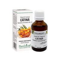 Extract din muguri de CATINA, 50 ml - 1
