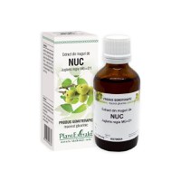Extract din muguri de Nuc, 50 ml, Plant Extrakt - 1