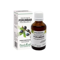 Extract din muguri de Porumbar, 50 ml, Plant Extrakt - 1