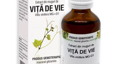 Extract din muguri de Vita de Vie, 50 ml, Plant Extrakt