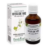 Extract din muguri de Vita de Vie, 50 ml, Plant Extrakt - 1