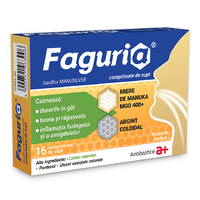 Faguria, 16 comprimate de supt, Antibiotice SA - 1