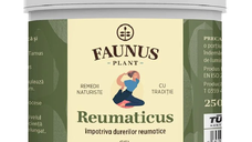 Gel Reumaticus, 250 ml, Faunus Plant