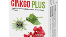 Ginkgo Plus, 30 capsule, Parapharm