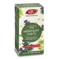 Hepatofit Forte, 63 capsule, Fares - 1