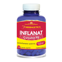 Inflanat Curcumin 95, 120 capsule, Herbagetica - 1
