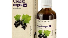 Muguri de Coacaz Negru, 50 ml, Dacia Plant