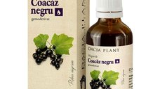 Muguri de Coacaz Negru, 50 ml, Dacia Plant