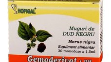 Muguri de dud negru, 30 monodoze, Hofigal