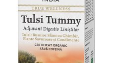 ORGANIC INDIA Ceai Digestiv Tulsi (Busuioc Sfant) Tummy cu Ghimbir, Plante Savuroase si Condimente