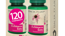 Pachet Echinacea Forte, 120 comprimate, Dacia Plant