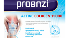 Proenzi Artrostop Active, 14 flacoane unidoza, Stada
