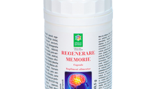 Regenerare Memorie, 90 capsule, Steaua Divina