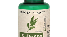 Salix 500, 60 comprimate, Dacia Plant