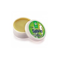 Salvie crema, 20 g, Steaua Divina - 1