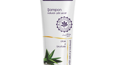Sampon pentru par uscat cu aloe si brusture, 250 ml, Vivanatura