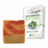Sapun natural bogat in vitamine si minerale pentru ten si corp cu namol si kale, 120 g, Techir - 1