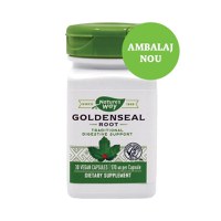 Secom Goldenseal, antibiotic natural, 30 capsule - 1