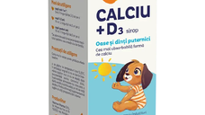 Sirop Calciu si vitamina D3 Alinan, 150 ml, Fiterman Pharma