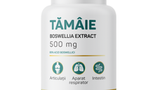 Tamaie Boswellia Extract 500mg, 60 capsule vegetale, Nutrific