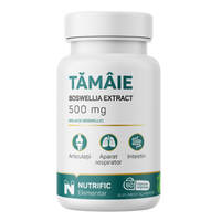 Tamaie Boswellia Extract 500mg, 60 capsule vegetale, Nutrific - 1