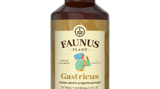 Tinctura Gastricus, 200 ml, Faunus Plant