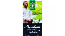 Tinctura Meridian Intestin Subtire, 100 ml, Steaua divina