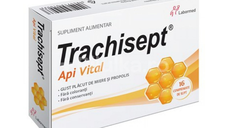 Trachisept Api Vital, 16 comprimate de supt