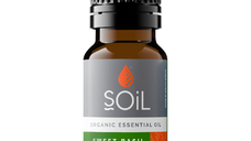 Ulei esential de Busuioc, 10ml, SOiL