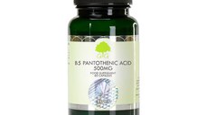 Vitamina B5 Acid Pantotenic 500 mg, 60 capsule