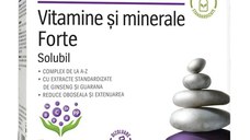 Vitamine si minerale Forte, 15 plicuri, Alevia