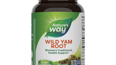 Wild Yam Root Natures Way, 100 capsule, Secom