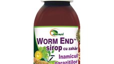 Worm End Sirop, 100 ml