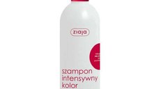 ZIAJA Sampon cu ulei de ricin pentru par vopsit, 400 ml