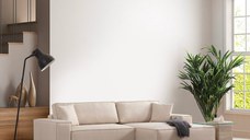 Coltar extensibil Pirlo Bej