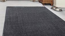 Covor Ata Gri 200x290 cm