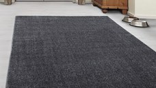 Covor Ata Gri 200x290 cm