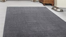 Covor Ata Gri Deschis Deschis 200x290